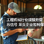 工程机械行业现强势复苏信号 龙头企业盈利弹性值得期待（图1）