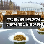 工程机械行业现强势复苏信号 龙头企业盈利弹性值得期待（图4）