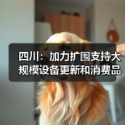四川:加力扩围支持大规模设备更新和消费品以旧换新(图2) 四川:加力扩围支持大规模设备更新和消费品以旧换新(图2)