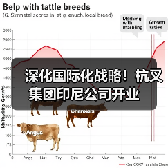深化国际化战略!杭叉集团印尼公司开业(图1) 深化国际化战略!杭叉集团印尼公司开业(图1)