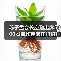 苏子孟会长应邀出席5000kJ单作用液压打桩锤下线仪式（图4）