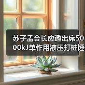 苏子孟会长应邀出席5000kJ单作用液压打桩锤下线仪式（图2）