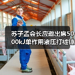 苏子孟会长应邀出席5000kJ单作用液压打桩锤下线仪式（图1）