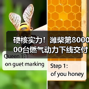 硬核实力!潍柴第800000台燃气动力下线交付(图2) 硬核实力!潍柴第800000台燃气动力下线交付(图2)