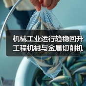 机械工业运行趋稳回升 工程机械与金属切削机床双线复苏（图1）