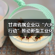 甘肃省属企业以“六大行动”推动新型工业化（图3）