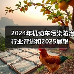 2024年机动车污染防治行业评述和2025展望（图4）