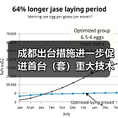 成都出台措施进一步促进首台（套）重大技术装备示范应用（图1）