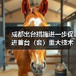 成都出台措施进一步促进首台（套）重大技术装备示范应用（图3）