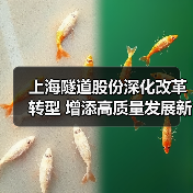 上海隧道股份深化改革转型 增添高质量发展新动能（图1）