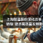 上海隧道股份深化改革转型 增添高质量发展新动能（图3）