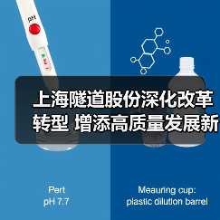 上海隧道股份深化改革转型 增添高质量发展新动能（图4）