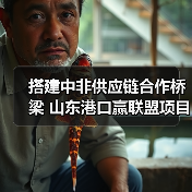 搭建中非供应链合作桥梁 山东港口赢联盟项目助力“中国制造”加速出海（图3）