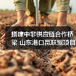搭建中非供应链合作桥梁 山东港口赢联盟项目助力“中国制造”加速出海（图2）