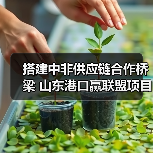 搭建中非供应链合作桥梁 山东港口赢联盟项目助力“中国制造”加速出海（图4）