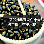 “2024年度央企十大超级工程”结果出炉（图2）