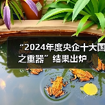 “2024年度央企十大国之重器”结果出炉（图3）