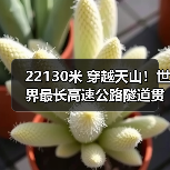 22130米 穿越天山！世界最长高速公路隧道贯通（图4）