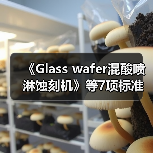 《Glass wafer混酸喷淋蚀刻机》等7项标准立项（图3）