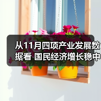 从11月四项产业发展数据看 国民经济增长稳中有序（图2）