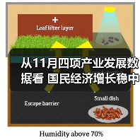 从11月四项产业发展数据看 国民经济增长稳中有序（图4）