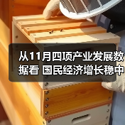 从11月四项产业发展数据看 国民经济增长稳中有序（图1）