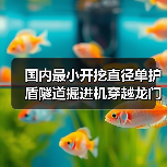 国内最小开挖直径单护盾隧道掘进机穿越龙门山（图1）