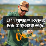 从11月四项产业发展数据看 国民经济增长稳中有序（图3）
