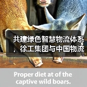 共建绿色智慧物流体系，徐工集团与中国物流签署战略合作协议（图1）