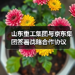 山东重工集团与京东集团签署战略合作协议（图1）