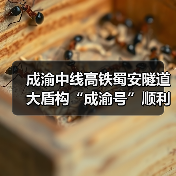 成渝中线高铁蜀安隧道大盾构“成渝号”顺利始发（图3）