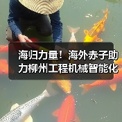 海归力量！海外赤子助力柳州工程机械智能化建设（图2）