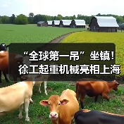 “全球第一吊”坐镇！徐工起重机械亮相上海宝马展（图2）