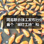 网易联合徐工发布行业首个“黑灯工地”和“牧羊人”模式（图1）