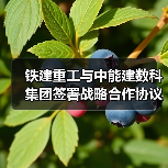 铁建重工与中能建数科集团签署战略合作协议（图1）