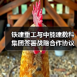 铁建重工与中能建数科集团签署战略合作协议（图3）