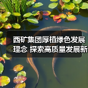 西矿集团厚植绿色发展理念 探索高质量发展新路经（图3）