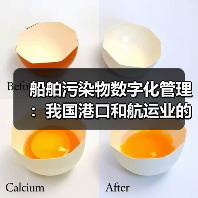 船舶污染物数字化管理：我国港口和航运业的“绿色革命”（图1）