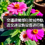 交通运输部印发城市轨道交通设施设备运行维护管理办法（图3）