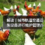解读 | 城市轨道交通设施设备运行维护管理办法（图1）