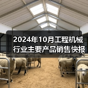 2024年10月工程机械行业主要产品销售快报（图2）