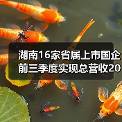 湖南16家省属上市国企前三季度实现总营收2012亿元（图3）
