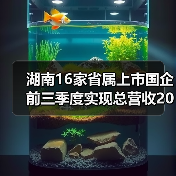 湖南16家省属上市国企前三季度实现总营收2012亿元（图1）