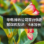 华电潍坊公司首台铁路卸煤机投运：4米加长支架腿（图2）