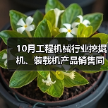 10月工程机械行业挖掘机、装载机产品销售同比增长（图2）