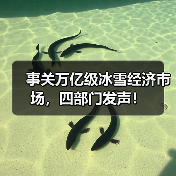 事关万亿级冰雪经济市场，四部门发声！（图1）