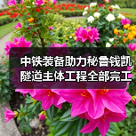 中铁装备助力秘鲁钱凯隧道主体工程全部完工(图4) 中铁装备助力秘鲁钱凯隧道主体工程全部完工(图4)