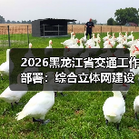 2026黑龙江省交通工作部署：综合立体网建设引领高质量发展（图2）