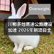 川鄂多地高速公路建设加速 2026年新项目全面升级(图2) 川鄂多地高速公路建设加速 2026年新项目全面升级(图2)