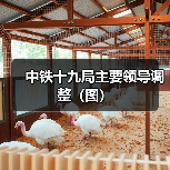 中铁十九局主要领导调整(图)(图3) 中铁十九局主要领导调整(图)(图3)
